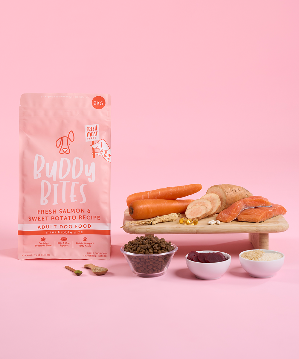 Adult Mini Salmon Dry Dog Food