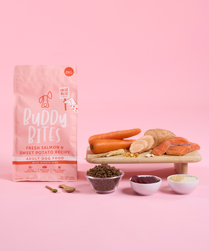 迷你版三文魚甜薯成犬乾狗糧