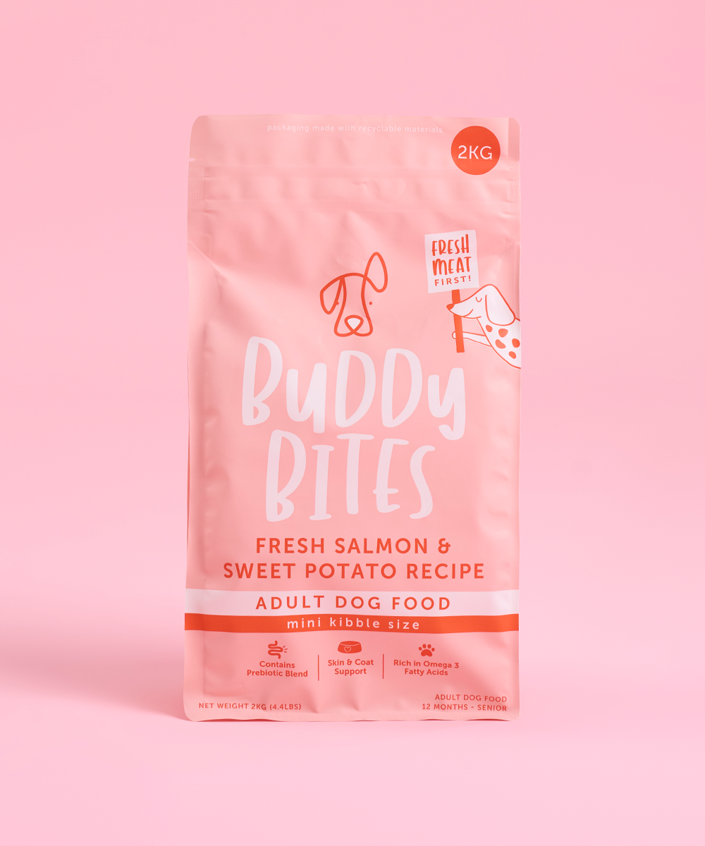 Adult Mini Salmon Dry Dog Food