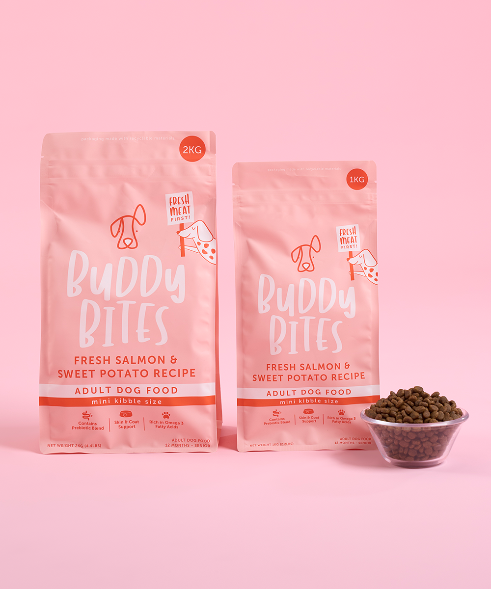 Adult Mini Salmon Dry Dog Food