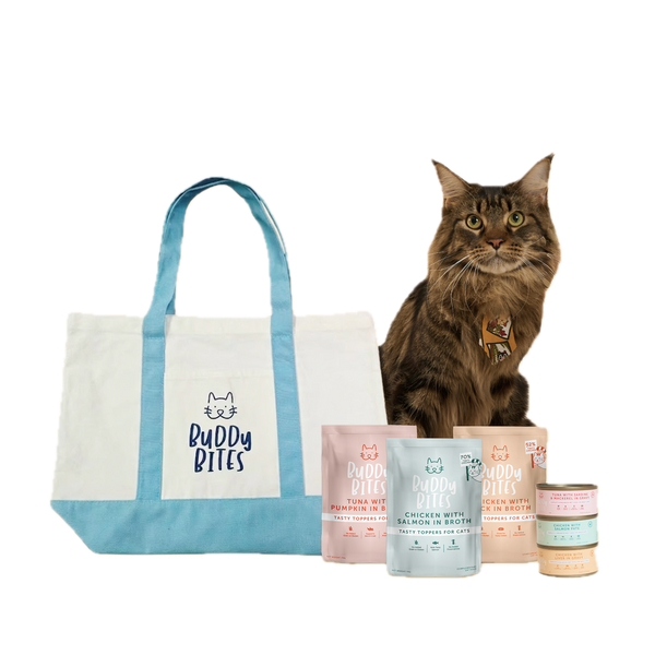 Cat Wet Food Taster Box