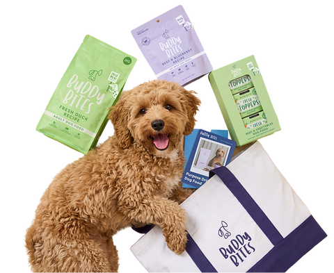 Dog Starter Bundle