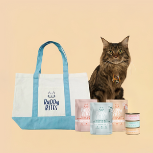 Cat Wet Food Taster Box