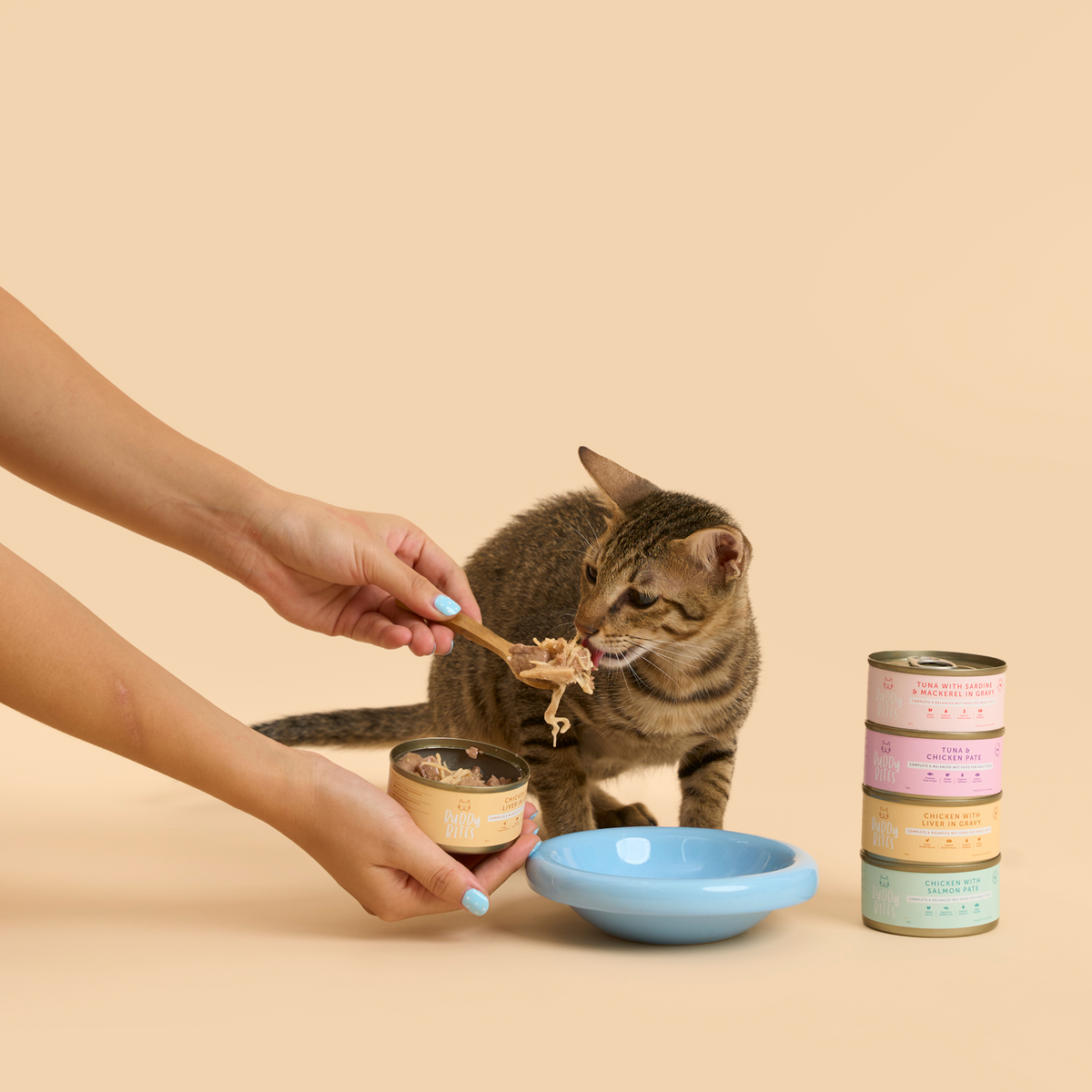 Cat Wet Food Taster Box