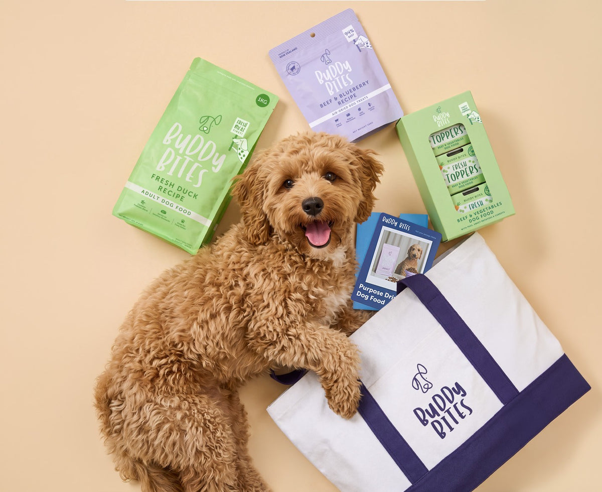 Dog Starter Box with kibble, fresh toppers, treats and a Buddy Bites tote bag