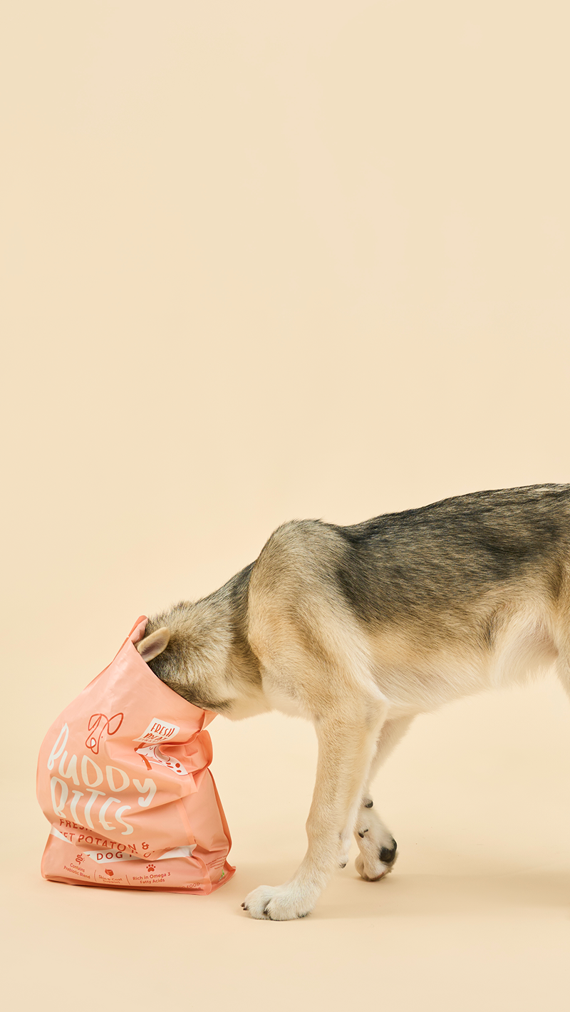 Sniff Out Our Latest Dog Products