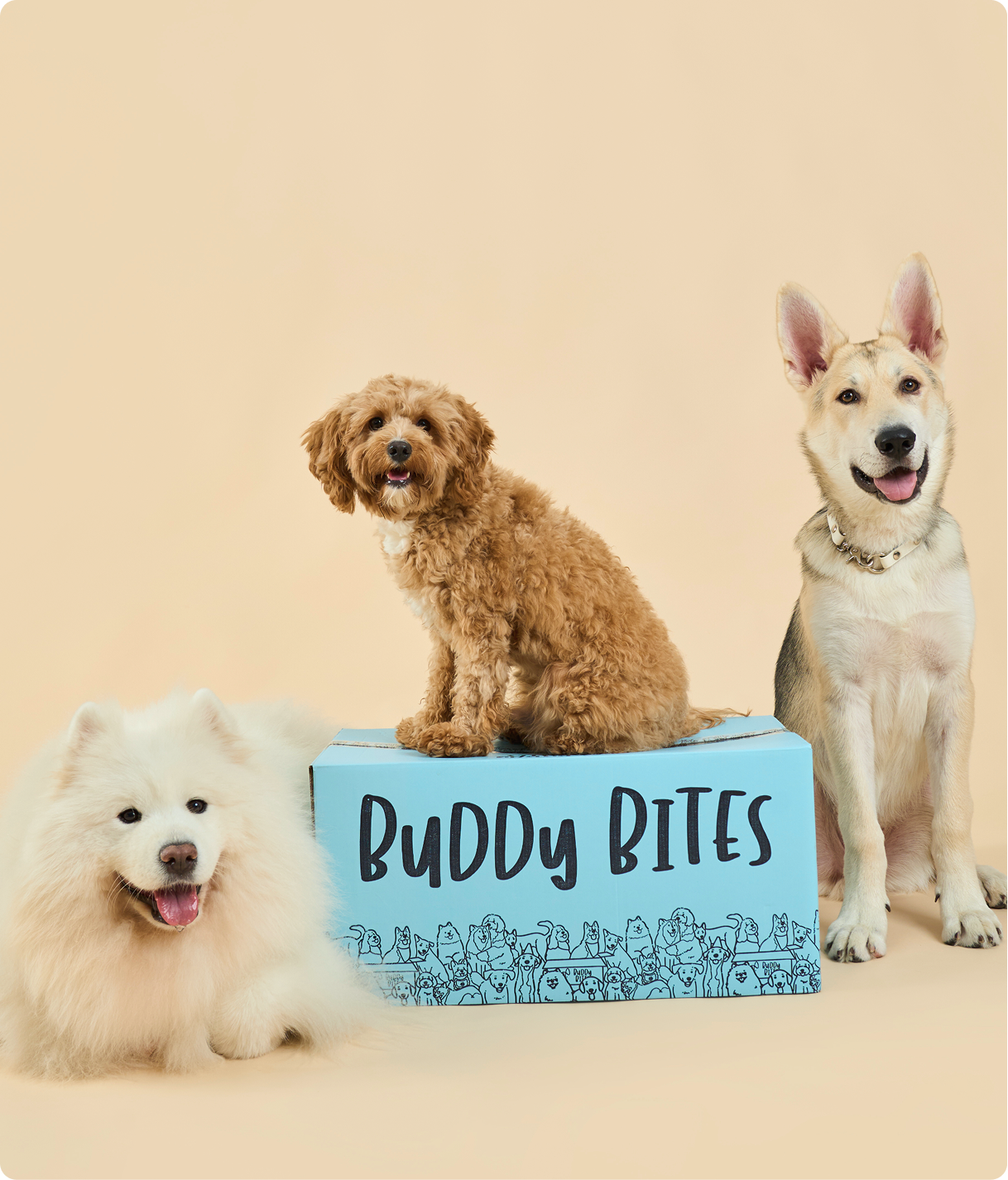 Tell us about your pet