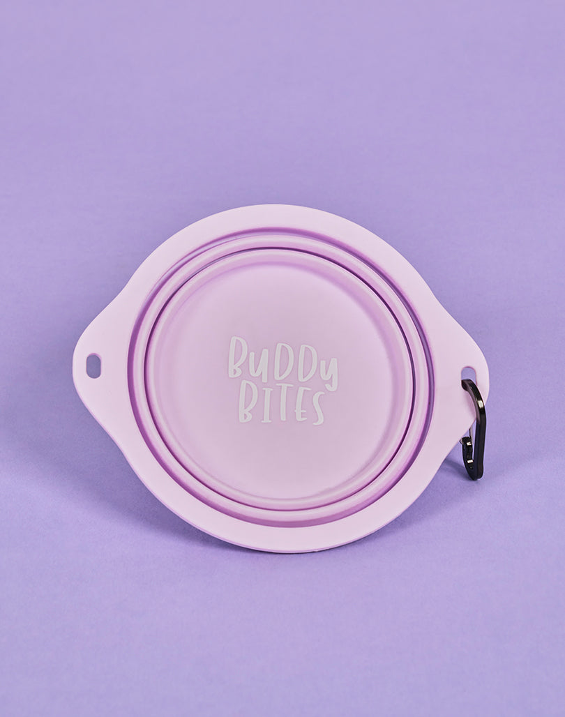 Large Portable Dog Bowl
