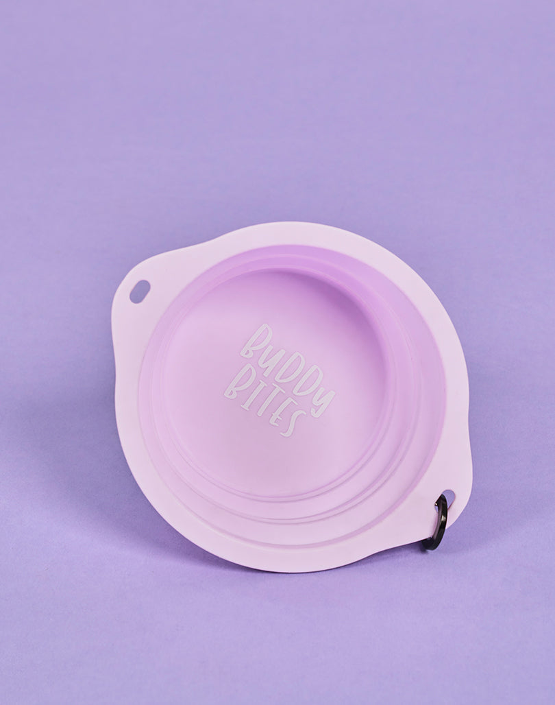 Large Portable Dog Bowl