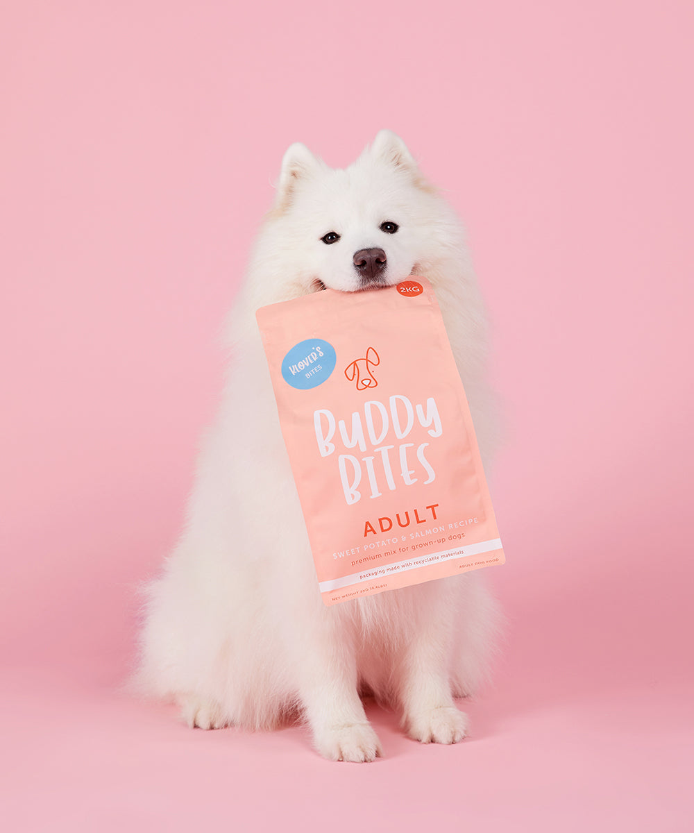 成犬三文魚甜薯乾狗糧